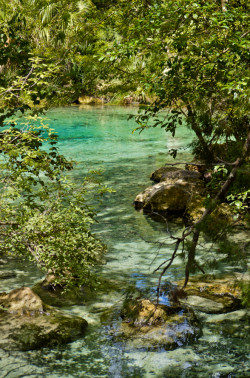 Florida Aquifer