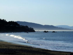 Scenes from Brookings, Oegon (OR)