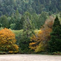 Fall colors in Wolf Creek, Oregon about 25 miles North of Grants Pass, OR