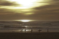 Surfer with a surf board walking on the beach at sunset in San Francisco, California