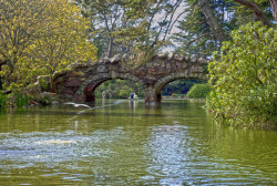 Rock bridges cross over Stow Lake in the Golden Gate park of San Francisco, California.