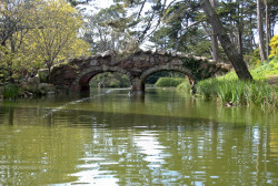 Rock bridges cross over Stow Lake in the Golden Gate park of San Francisco, California.