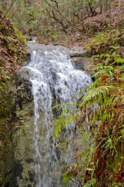 Falling Waters State Park in Chipley, Florida