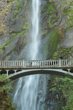 Multnomah Falls in the Columbia River Gorge near Portland, Oregon